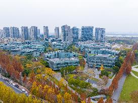 The First Zero-carbon Park in Nanjing