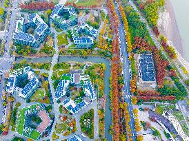 The First Zero-carbon Park in Nanjing