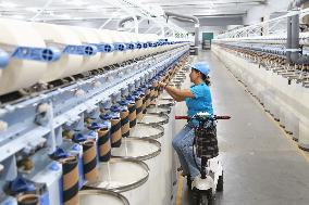 Xinjiang Textile Enterprises