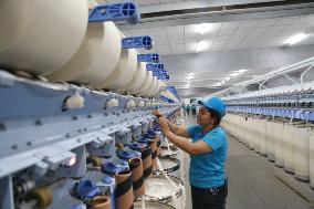 Xinjiang Textile Enterprises