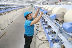 Xinjiang Textile Enterprises