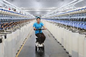 Xinjiang Textile Enterprises