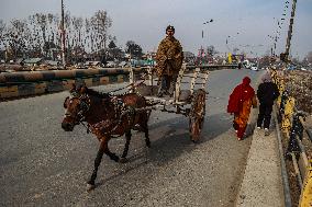 Daily Life In Kashmir