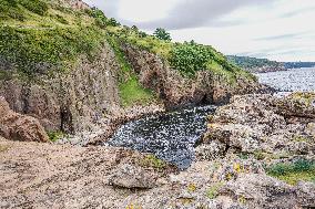 Bornholm Daily Life