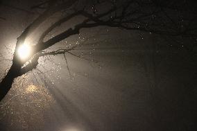 Fog Causing Near-zero Visibility Blankets Toronto, Canada