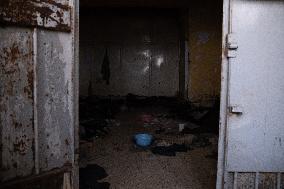 Rebels Liberate Sednaya Prison From Assad's Sadistic Grip - Syria