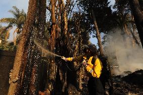 Wildfire Roars Into Malibu - LA