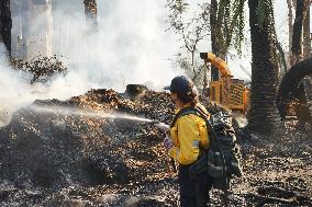 Wildfire Roars Into Malibu - LA