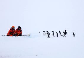 China's 41st Antarctic Expedition