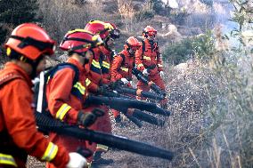 Forest Fire Drill in Qingdao