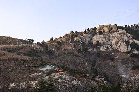 Forest Fire Drill in Qingdao