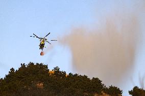 Forest Fire Drill in Qingdao