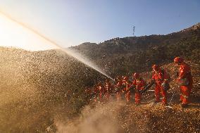 Forest Fire Drill in Qingdao