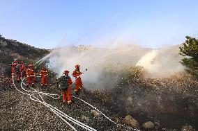 Forest Fire Drill in Qingdao