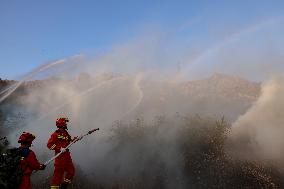 Forest Fire Drill in Qingdao