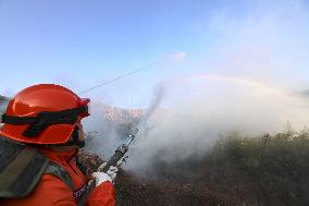 Forest Fire Drill in Qingdao