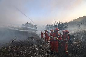 Forest Fire Drill in Qingdao