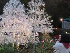 Crystal-glass Christmas trees sparkle at Hakone museum