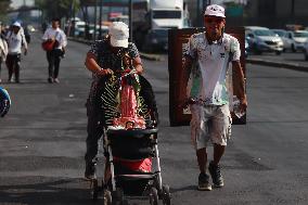 Pilgrims In Their Journey To The Basilica Of Guadalupe