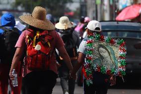 Pilgrims In Their Journey To The Basilica Of Guadalupe