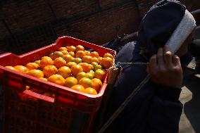 Nepali Market Flooded With Oranges As Season Kicks-in