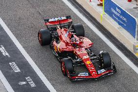 F1 Grand Prix Of Abu Dhabi - Post Season Test