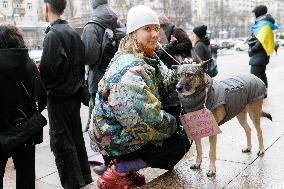 "Money For ZSU" rally in Kyiv