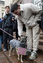 "Money For ZSU" rally in Kyiv