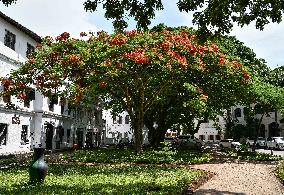 Zanzibar In Pictures