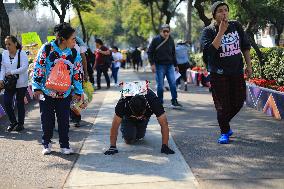 Virgin Of Guadalupe Day Celebrations