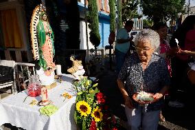 Mariachis Sing To The Virgin Of Guadalupe In Mexico