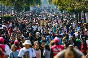 Virgin Of Guadalupe Day Celebrations