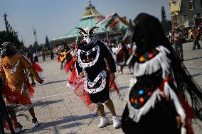 Virgin Of Guadalupe Day Celebrations