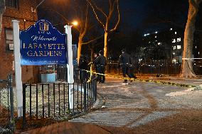 Two People Shot At Lafayette Gardens NYCHA Complex In Bed-Stuy Brooklyn New York