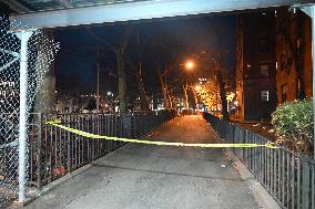 Two People Shot At Lafayette Gardens NYCHA Complex In Bed-Stuy Brooklyn New York