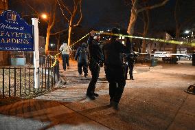 Two People Shot At Lafayette Gardens NYCHA Complex In Bed-Stuy Brooklyn New York