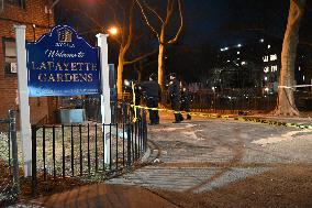 Two People Shot At Lafayette Gardens NYCHA Complex In Bed-Stuy Brooklyn New York