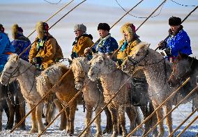 Herdsmen Tame Horses In Inner Mongolia - China