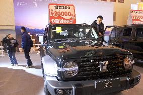 16th Shandong International Auto Show 2024 in Qingdao