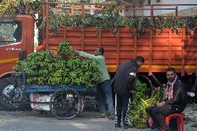 Banana Production In India