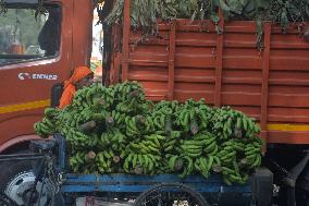 Banana Production In India