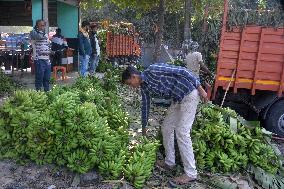 Banana Production In India