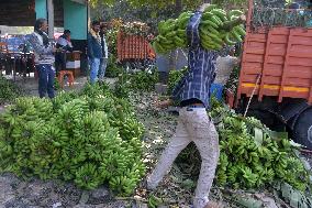 Banana Production In India