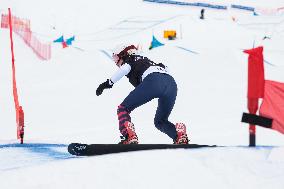 SPORT INVERNALI - Snowboard - FIS Snowboard Cross World Cup - Women and Men