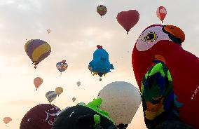 Qatar Balloon Festival 2024