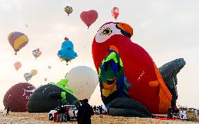 Qatar Balloon Festival 2024