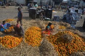 India Economy Fruit Oranges