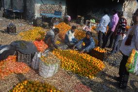 India Economy Fruit Oranges