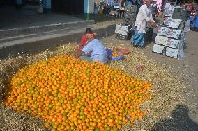 India Economy Fruit Oranges