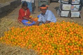 India Economy Fruit Oranges